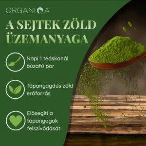 Organiqa Bio Búzafű por - 125g - Image 4 Organiqa Bio Búzafű por - 125g - Image 4