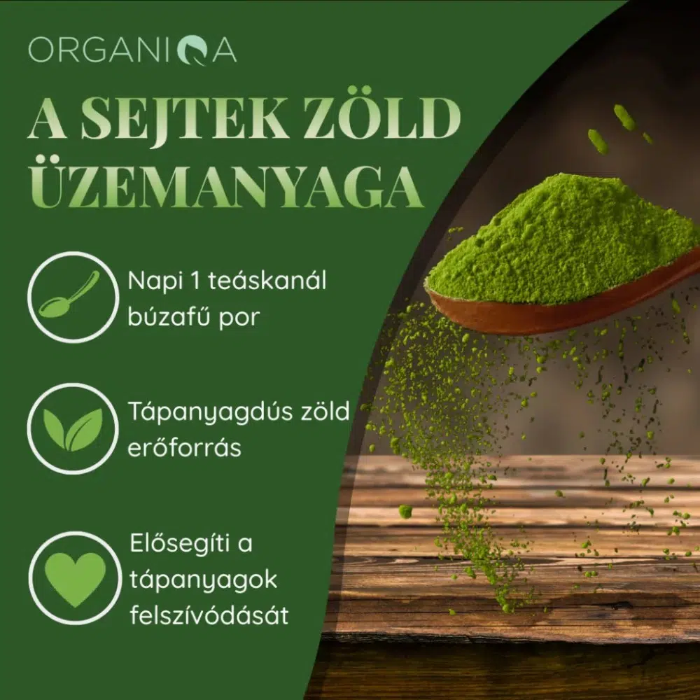 Organiqa Bio Búzafű por - 125g - Image 4 Organiqa Bio Búzafű por - 125g - Image 4