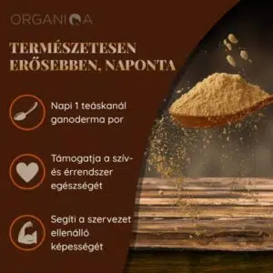 Organiqa Bio Reishi-Ganoderma por - 125g - Image 4 Organiqa Bio Reishi-Ganoderma por - 125g - Image 4