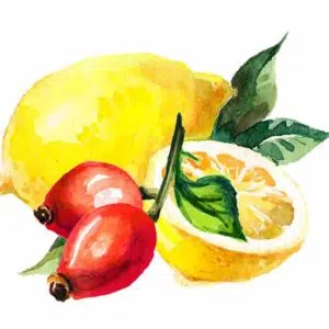 Natur Tanya Szerves C+D3+K2-vitamin RETARD tabletta – 60db Natur Tanya Szerves C+D3+K2-vitamin RETARD tabletta – 60db