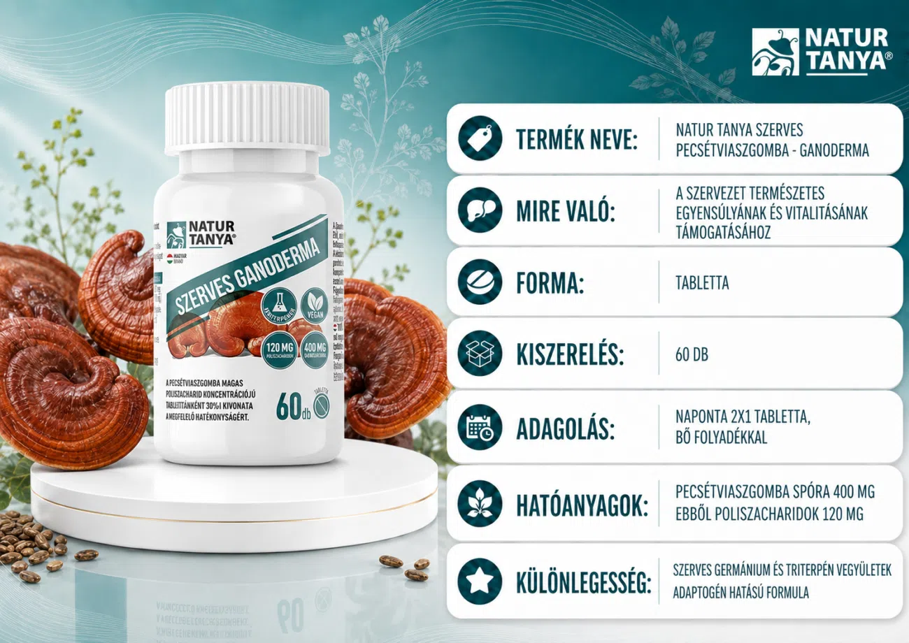 Szerves Pecsétviaszgomba - Ganoderma