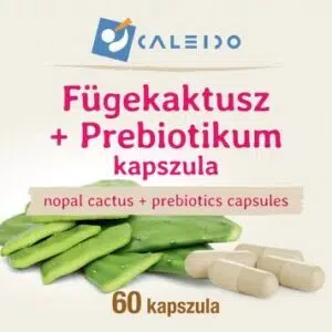 Caleido Fügekaktusz + Prebiotikum kapszula - 60db - Image 2 Caleido Fügekaktusz + Prebiotikum kapszula - 60db - Image 2