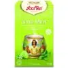 Yogi Bio lime menta tea - 17 filter