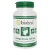 Bioheal Gingko Biloba 120mg + szagtalan fokhagyma kivonat kapszula - 70db