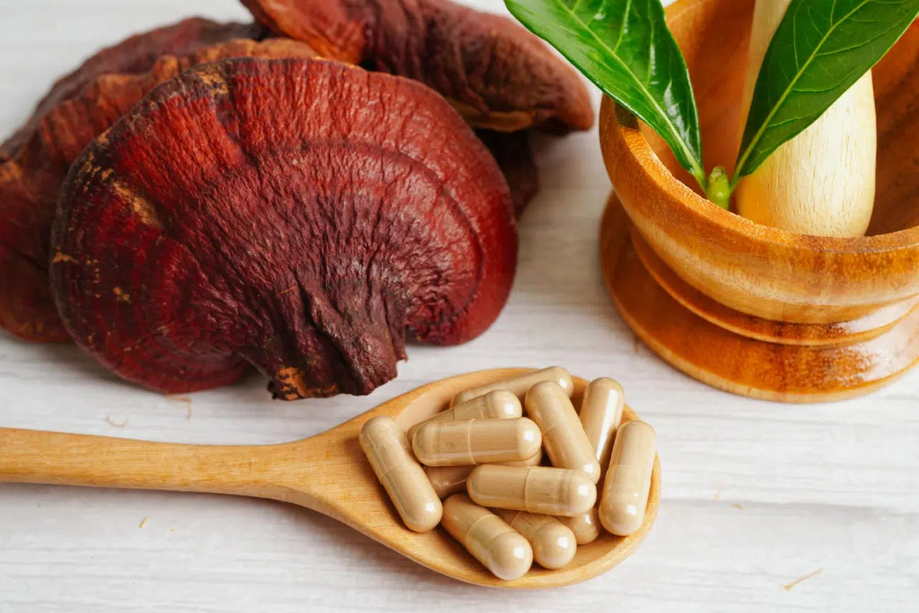 A reishi gomba kapszula vagy por formájában is fogyasztható A reishi gomba kapszula vagy por formájában is fogyasztható
