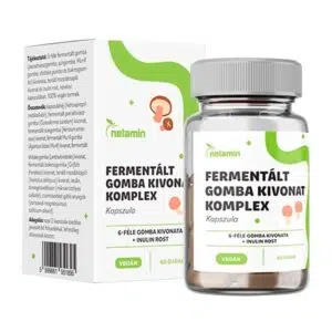Netamin Fermentált Gomba Kivonat Komplex kapszula - 60db