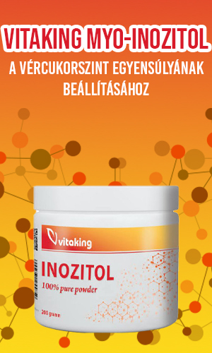 Vitaking Myo-Inozitol por