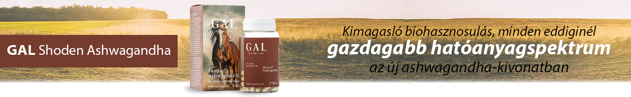 GAL Shoden Ashwagandha kapszula