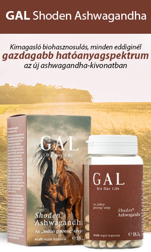 GAL Shoden Ashwagandha kapszula