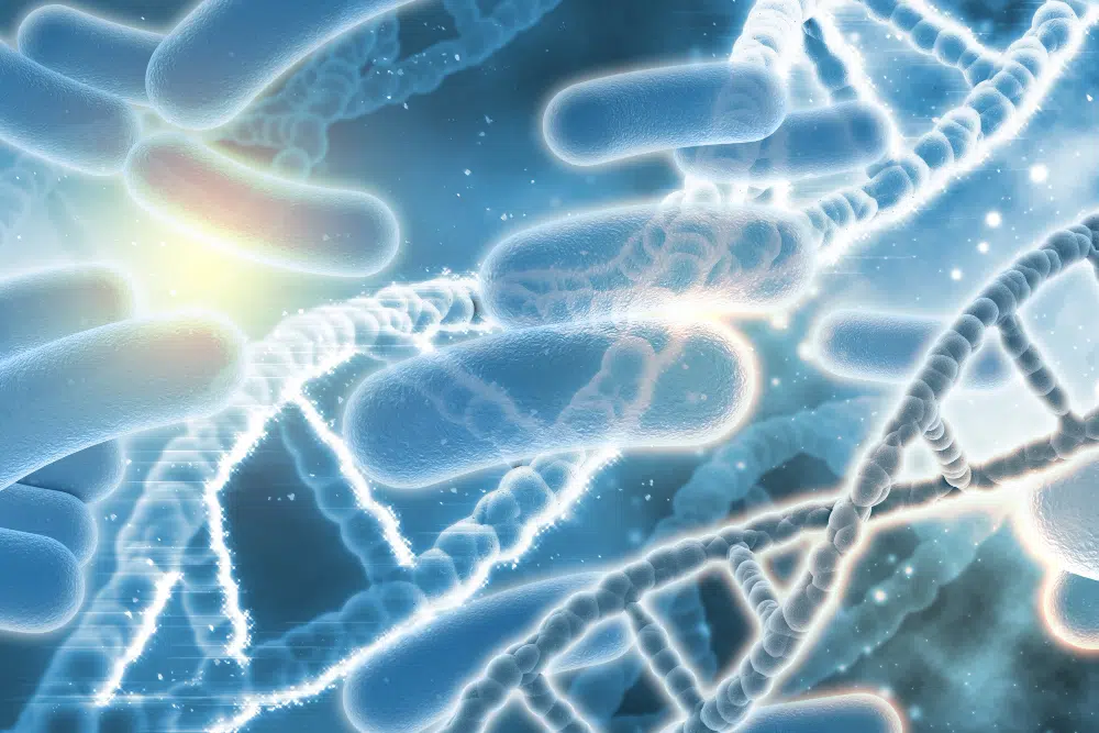 Melyik a legjobb probiotikum? Melyik a legjobb probiotikum?