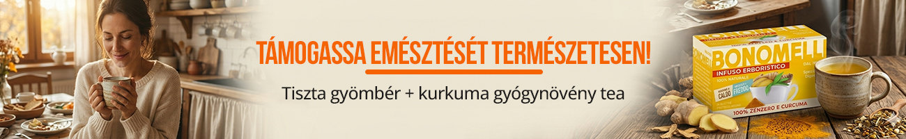 Bonomelli Gyömbér és Kurkuma gyógynövény tea