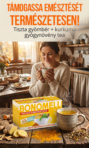 Bonomelli Gyömbér és Kurkuma gyógynövény tea