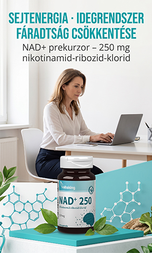 Vitaking NAD+250 kapszula – 60db