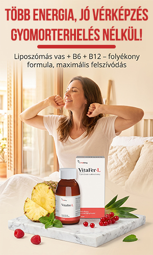 Vitaking VitaFer-L liposzómás vas készítmény – 120ml