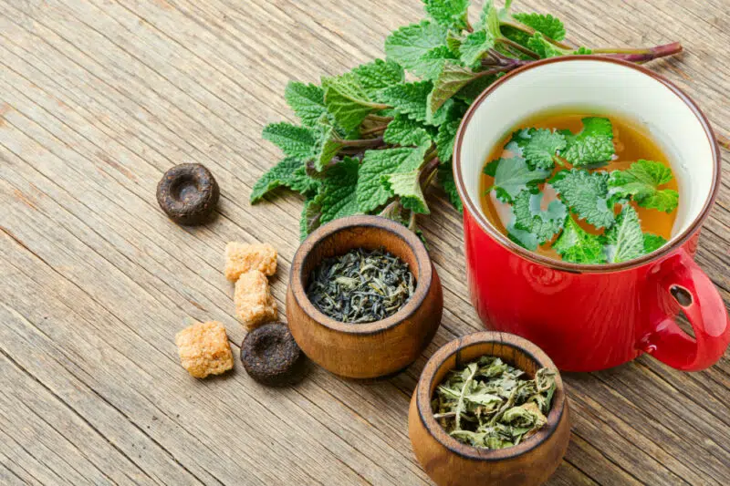 Citromfű tea mellékhatásai Citromfű tea mellékhatásai