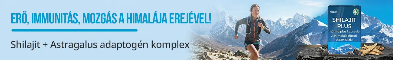 Dr. Chen Shilajit Plusz kapszula