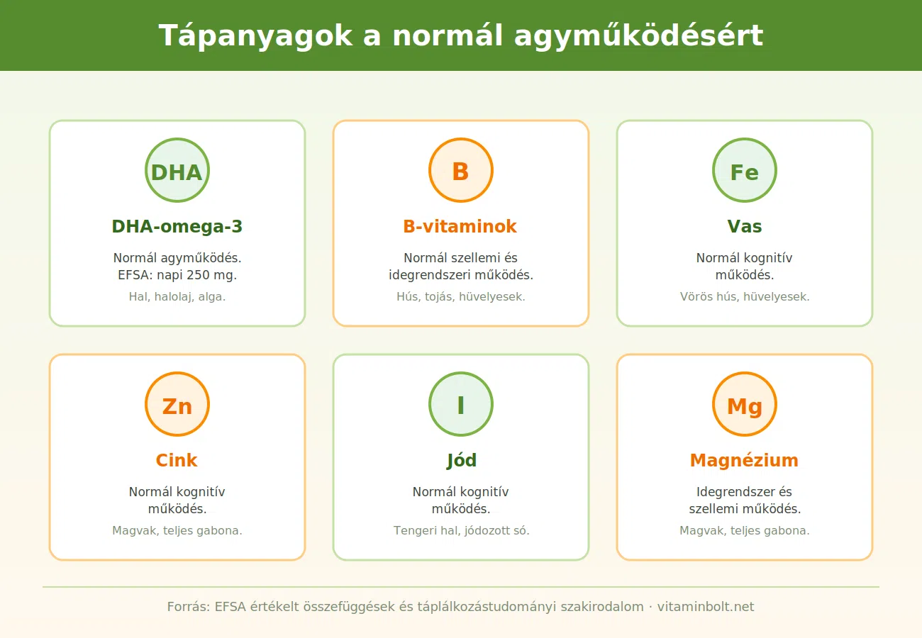 Tápanyagok a normál agyműködésért Tápanyagok a normál agyműködésért