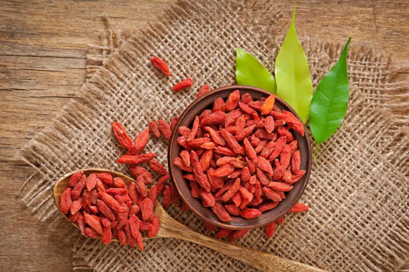 A goji bogyó veszélyei A goji bogyó veszélyei